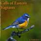 Calls of Eastern Vagrants