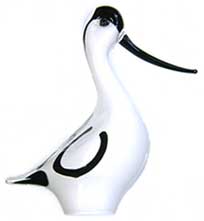 Avocet