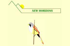 Click to visit New Horizons web site