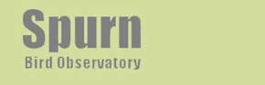 Click to visit Spurn Bird Observatory website